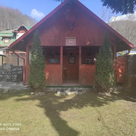 Catalina Guest house Busteni