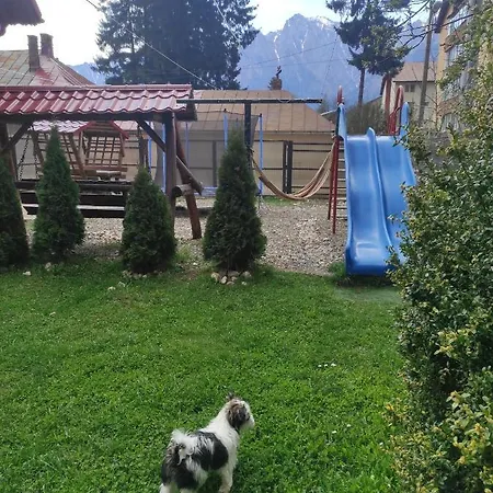 Guest house Catalina Busteni